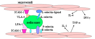 Doc4.pdf
